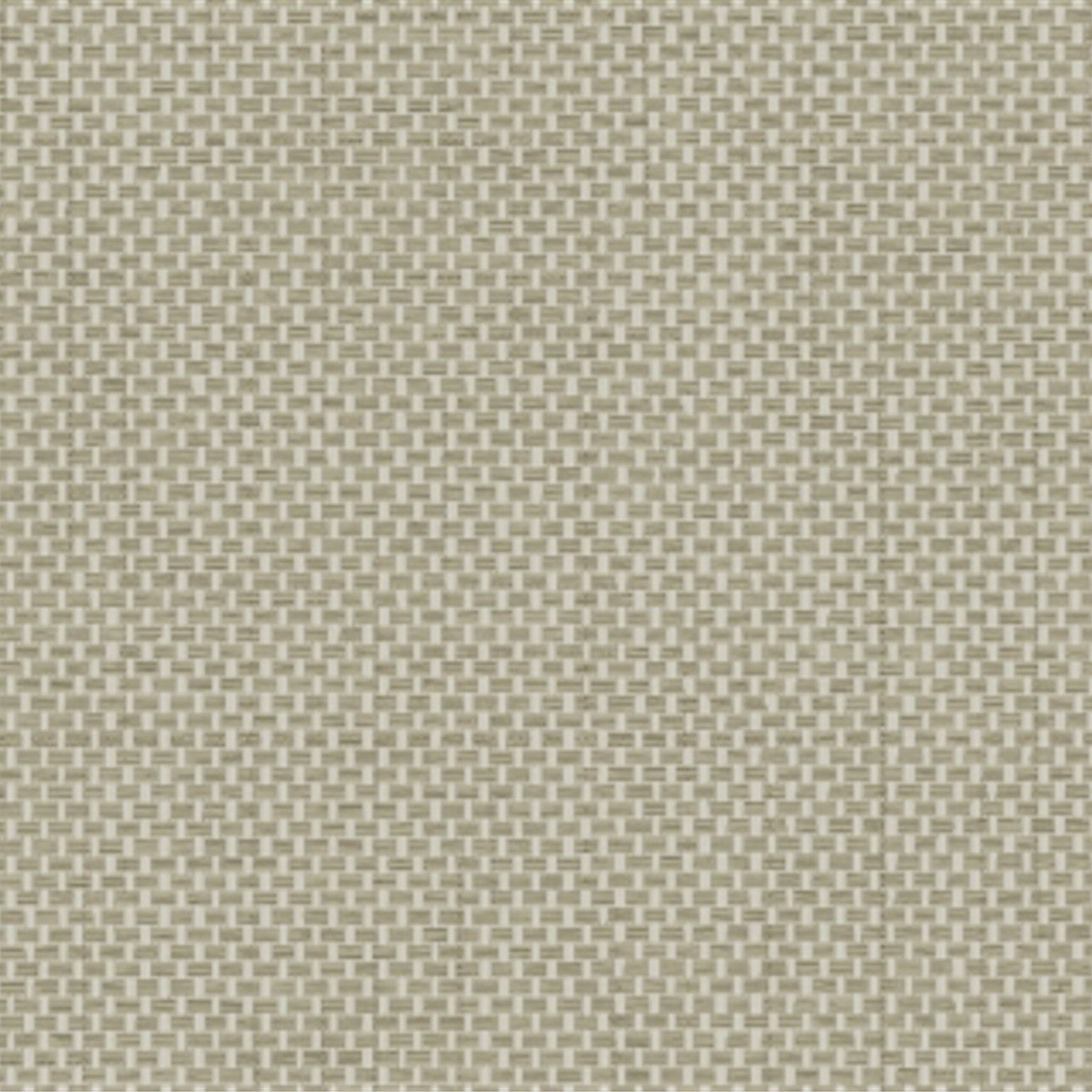 Papel de Pared - ESPERANZA - 77235 - Tono "-5"