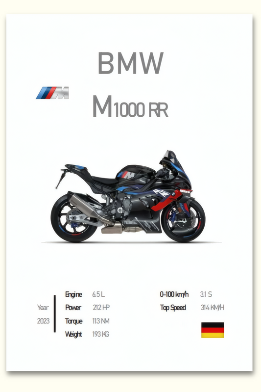 Cuadro en lienzo "BMW 1000rr"